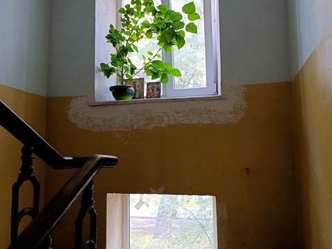 квартира по адресу Городоцкая ул., 301