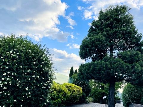 квартира по адресу Саксаганского ул., 37-К