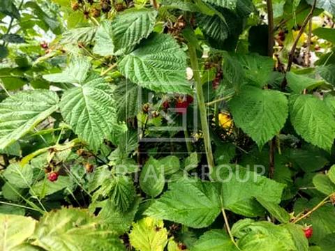 дом по адресу Независимости ул.