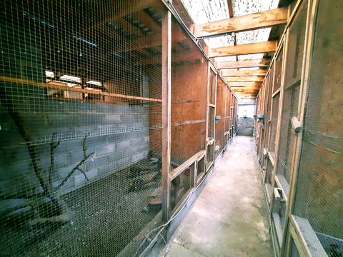 будинок за адресою Кривий Ріг, вул.Каштанова