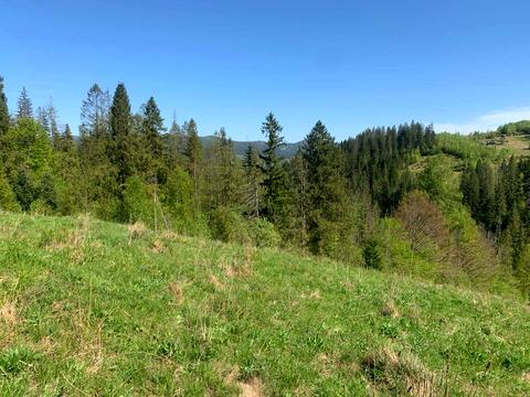 ділянка за адресою Ділок