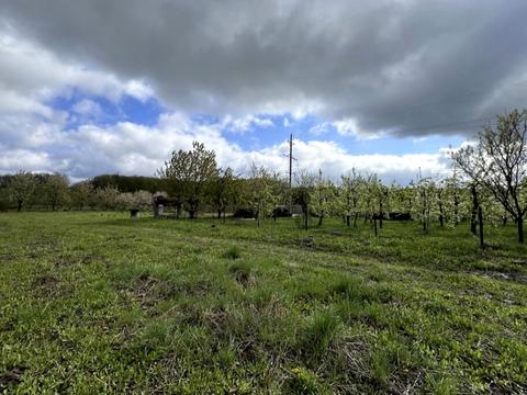 ділянка за адресою 1 вінницька
