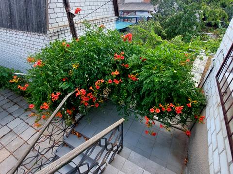 будинок за адресою Купорна вул., 94