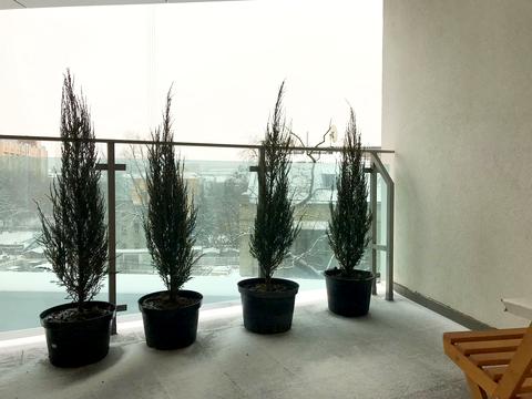 квартира по адресу Гоголевская ул., 47