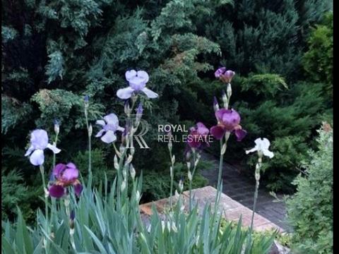 будинок за адресою Центральна