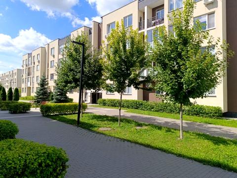 квартира за адресою Березова вул., 44