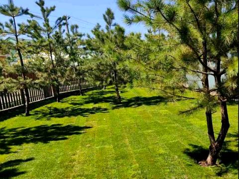 дом по адресу Жовтнева