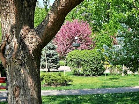 квартира за адресою Оболонська вул., 12