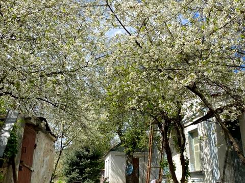 ділянка за адресою Провулок Жотневий