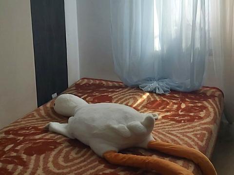 квартира за адресою Б.Арнаутская, 15