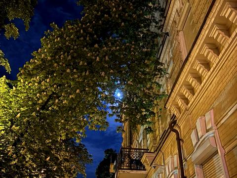 квартира за адресою Володимирська вул., 18/2