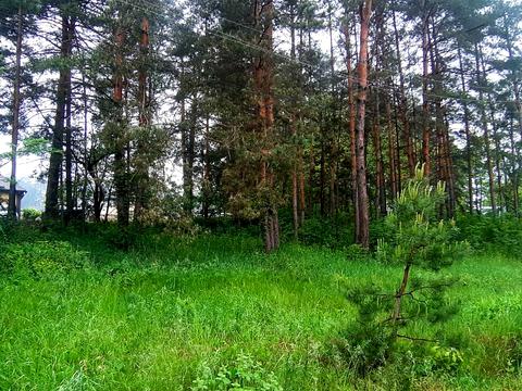 ділянка за адресою Мрія