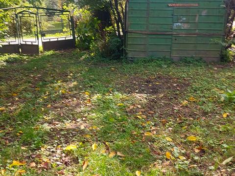 ділянка за адресою річна, 60