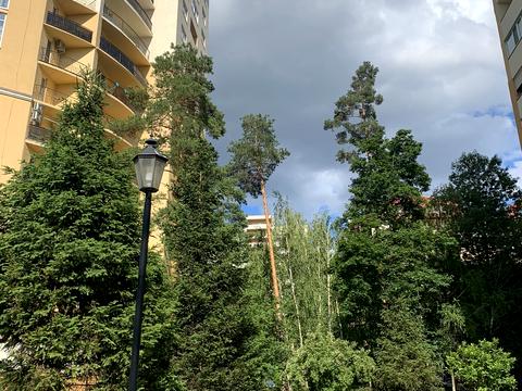 квартира по адресу Валерия Лобановского ул., 11