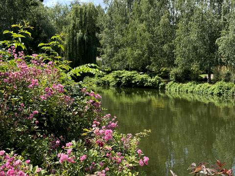 квартира за адресою Вишгородська вул., 45-Ж