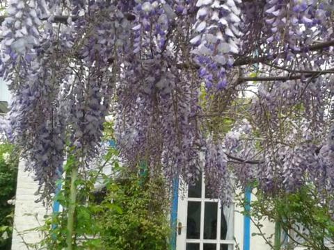 будинок за адресою с. Катюжанка, Заводська вул.