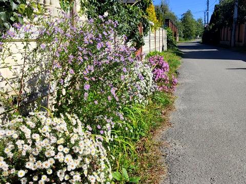 будинок за адресою Друга