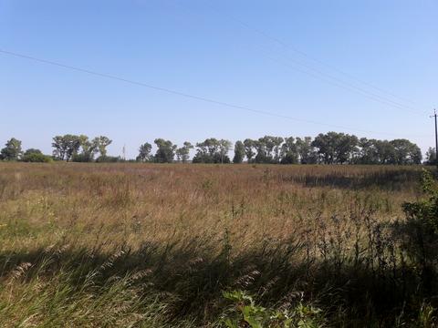 ділянка за адресою с. Рожівка, 