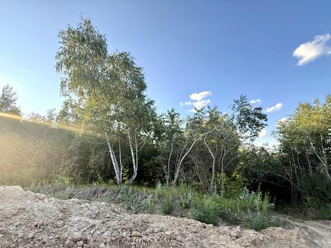 ділянка за адресою Молодіжна