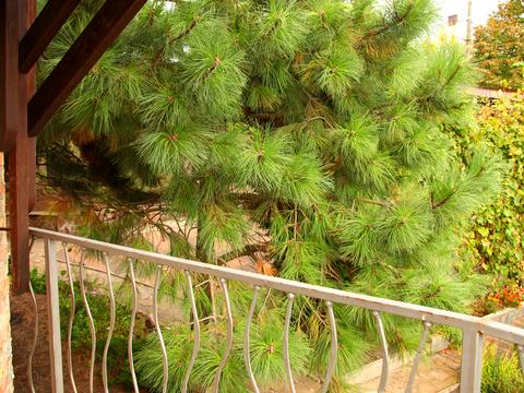 будинок за адресою Зарічна