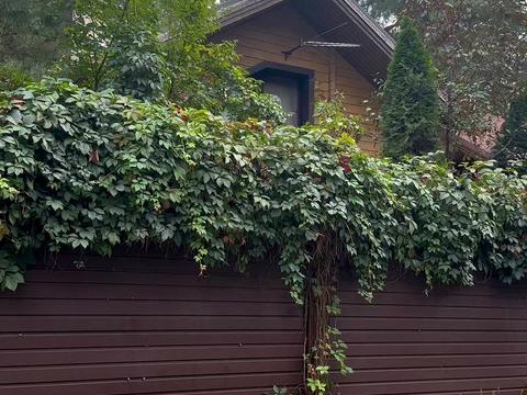 участок по адресу Озерна