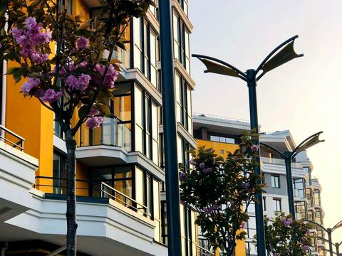 комерційна за адресою Прорізна вул., 9