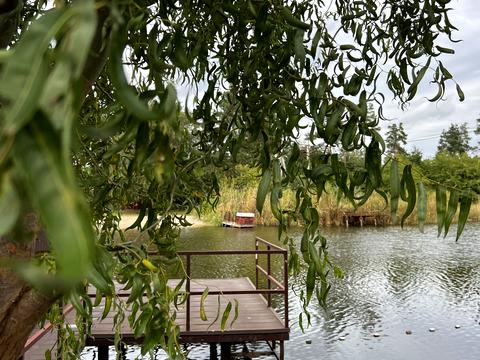 дом по адресу Садова, 34