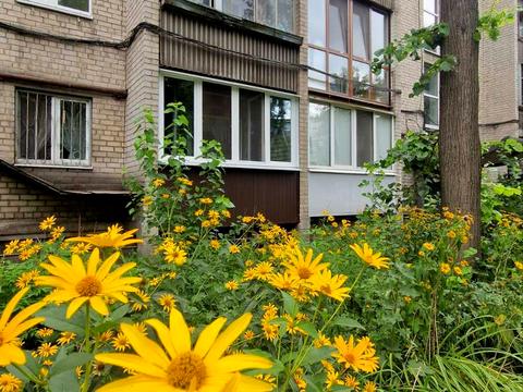 квартира по адресу Криворожская ул., 22б