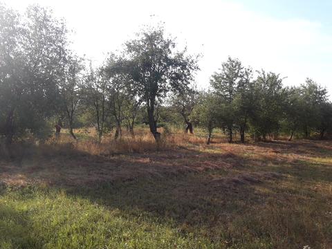 ділянка за адресою Привокзальна