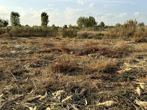 ділянка за адресою провулок Широкій