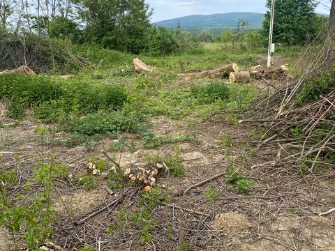 ділянка за адресою Центральна