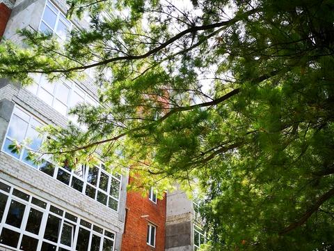 квартира по адресу Хворостянка ул. (Праці), 1