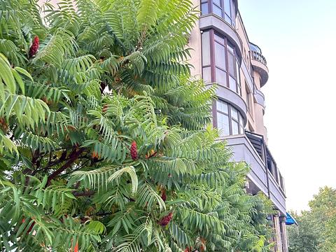 квартира за адресою Приозерна вул., 10-В