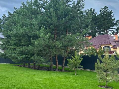 будинок за адресою Володимирська вул.