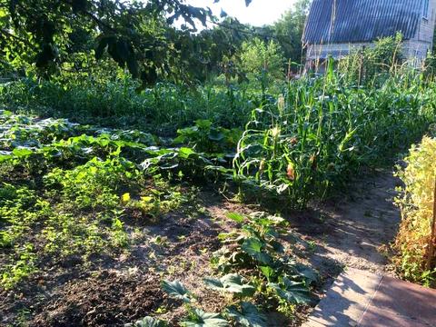 дом по адресу Зубка