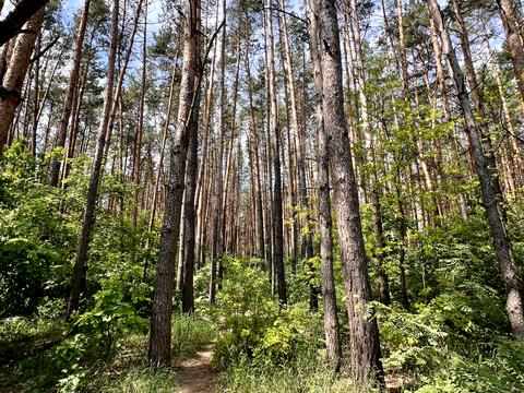 ділянка за адресою с. Блиставиця, 
