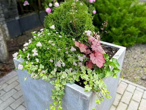 будинок за адресою Берегова вул.