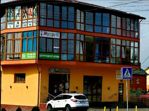 коммерческая по адресу Панаса Мирного ул., 39