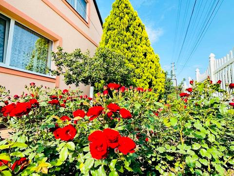 будинок за адресою Назарія Яремчука пров. (Кірова), 48