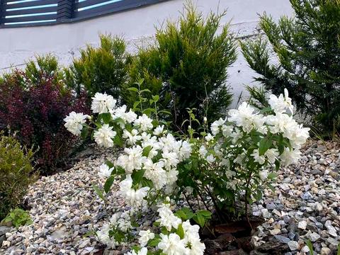 будинок за адресою Озерна, 8ж