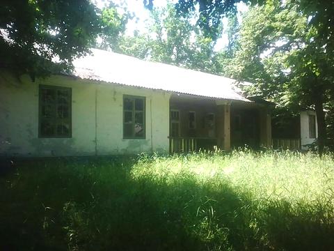 комерційна за адресою Шевченка вул., 43а
