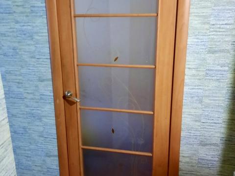квартира за адресою Бочарова вул., 16-А