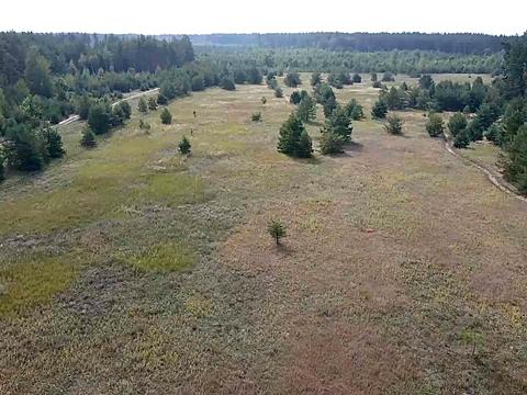 участок по адресу с. Сувид, 
