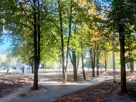 комерційна за адресою Тракторобудівників просп., 89