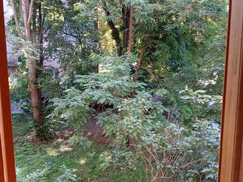 квартира по адресу Игоря Турчина ул. (Блюхера Василия), 7