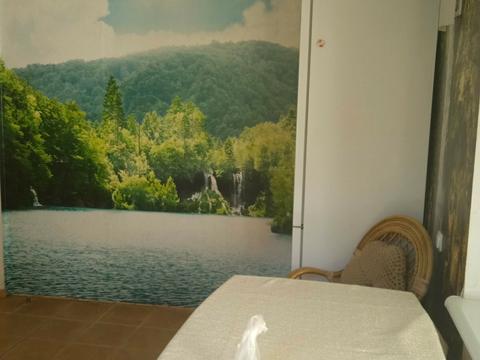 комната по адресу пер Тенистый, 6