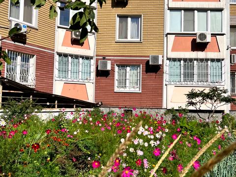 квартира за адресою Оболонський просп., 36-Д