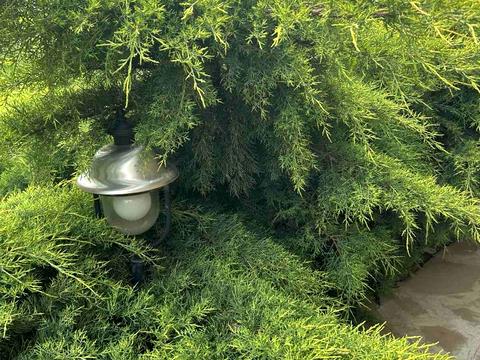 будинок за адресою Харків, Вишневий пров.