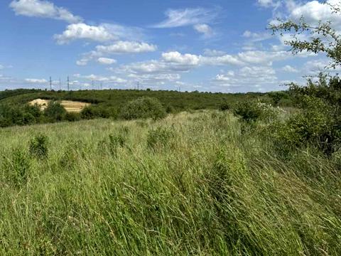 ділянка за адресою с. Малечковичі, Широка