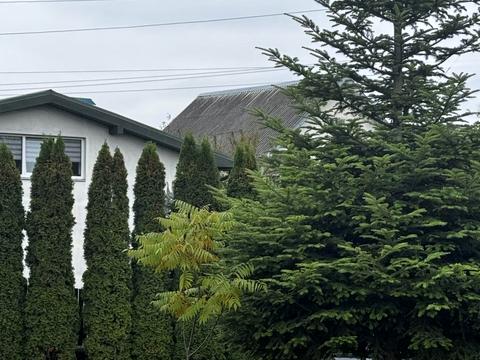 участок по адресу Демʼянів Лаз ул.